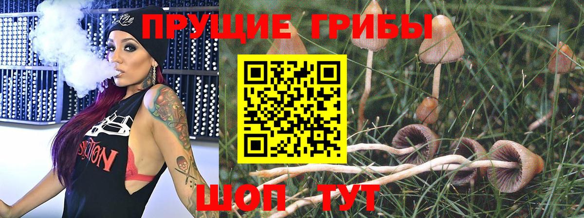 Псилоцибиновые грибы прущие грибы  Вход с VPN  Галлюциногенные грибы GOLDEN TEACHER  Златоуст 